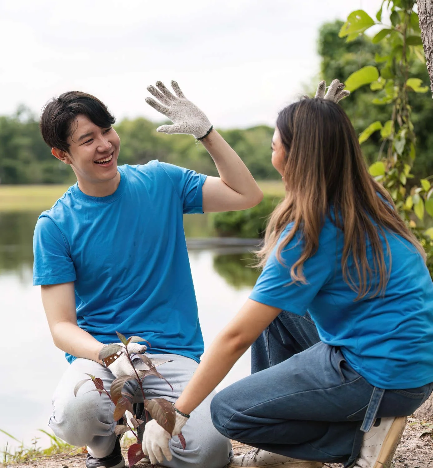 Two people wearing blue shirts and gardening gloves planting a small tree by a lake, smiling and high-fiving each other outdoors.