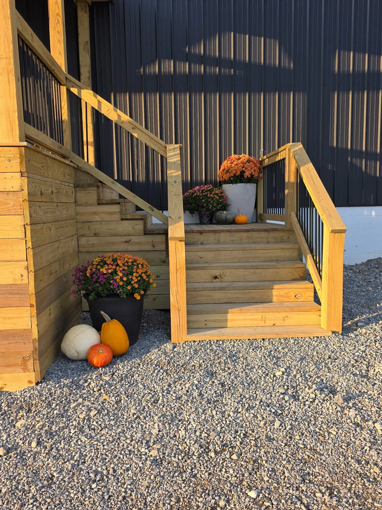 7402804986440816201 (1).jpeg