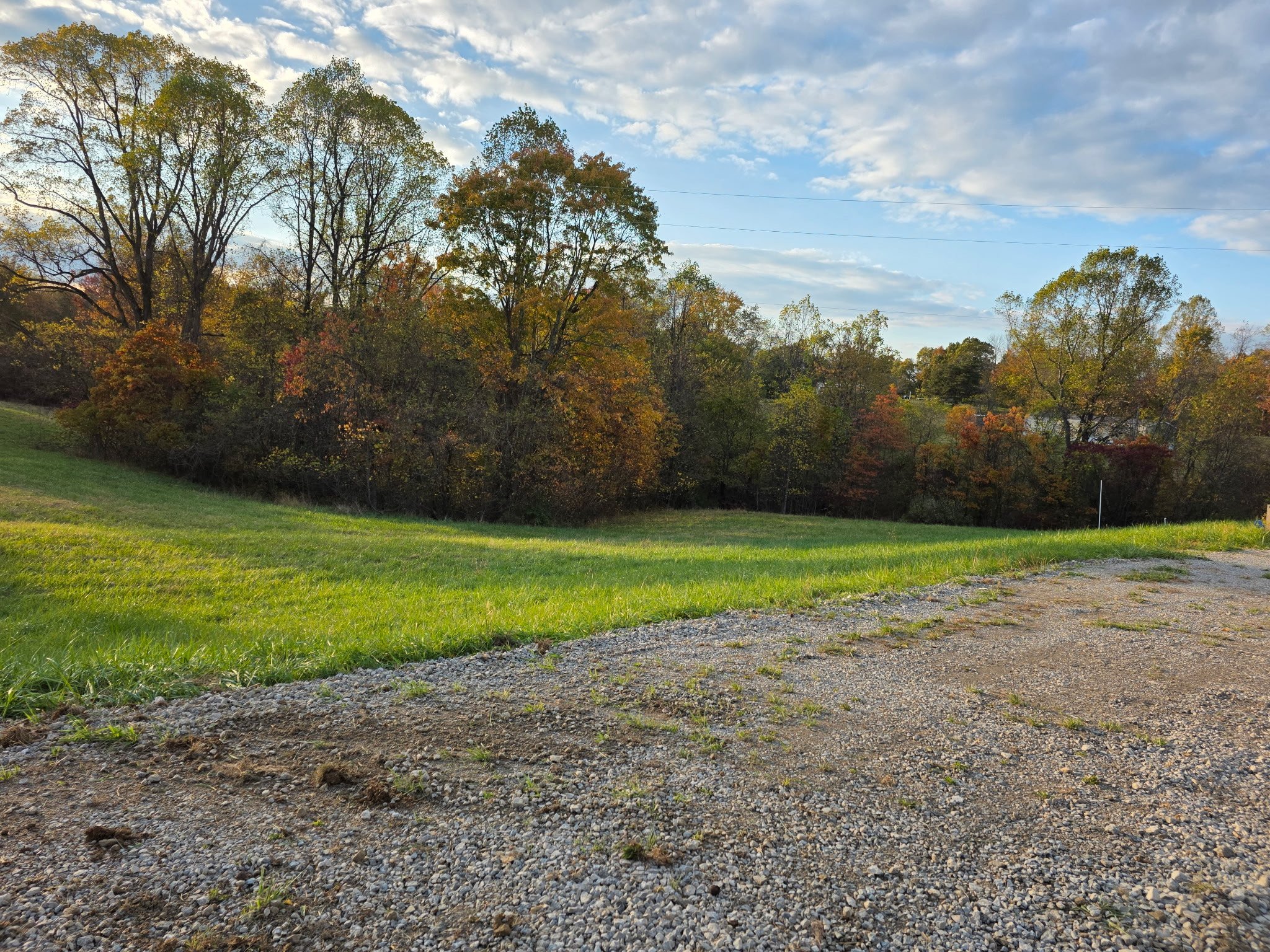 8540154126486216546 (1).jpeg