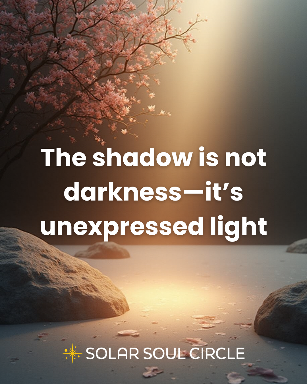integration_quote_41_shadow-integration_solar-soul-circle.png