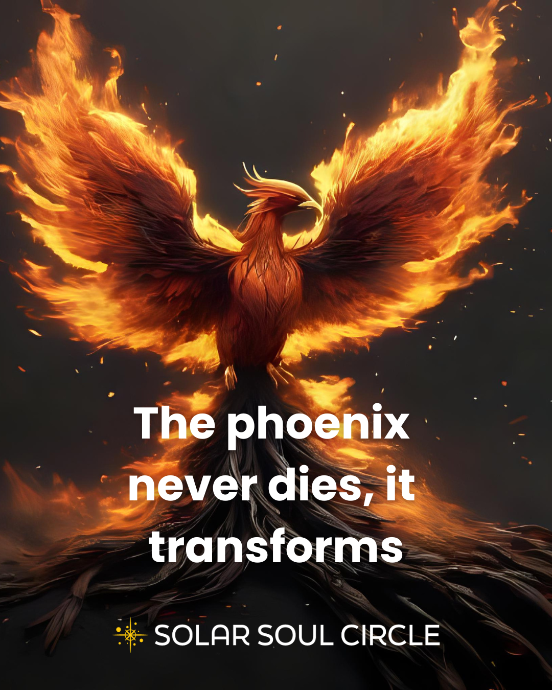 transformation_quote_45_phoenix-frequency_solar-soul-circle.png