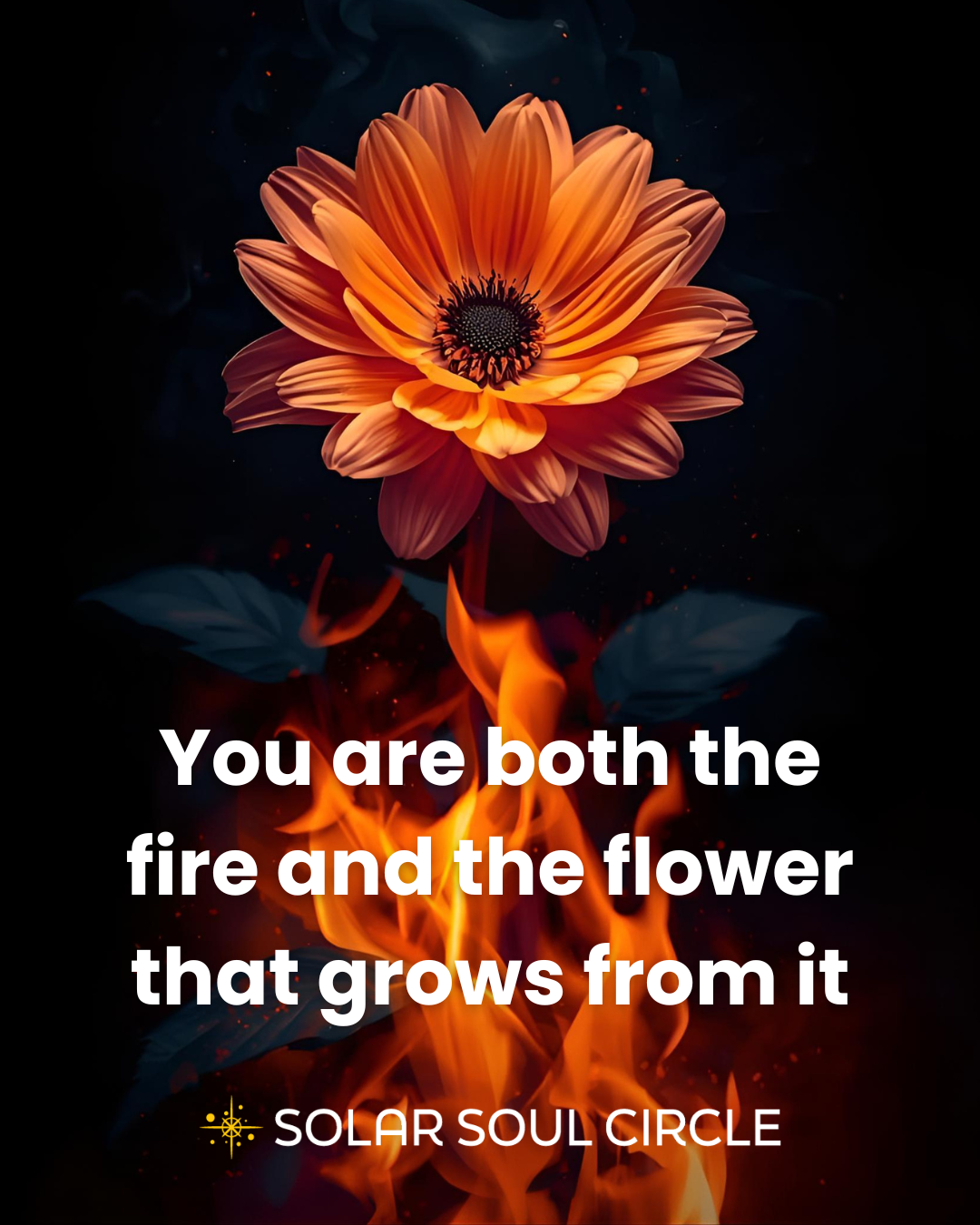 transformation_quote_40_metamorphosis_solar-soul-circle.png