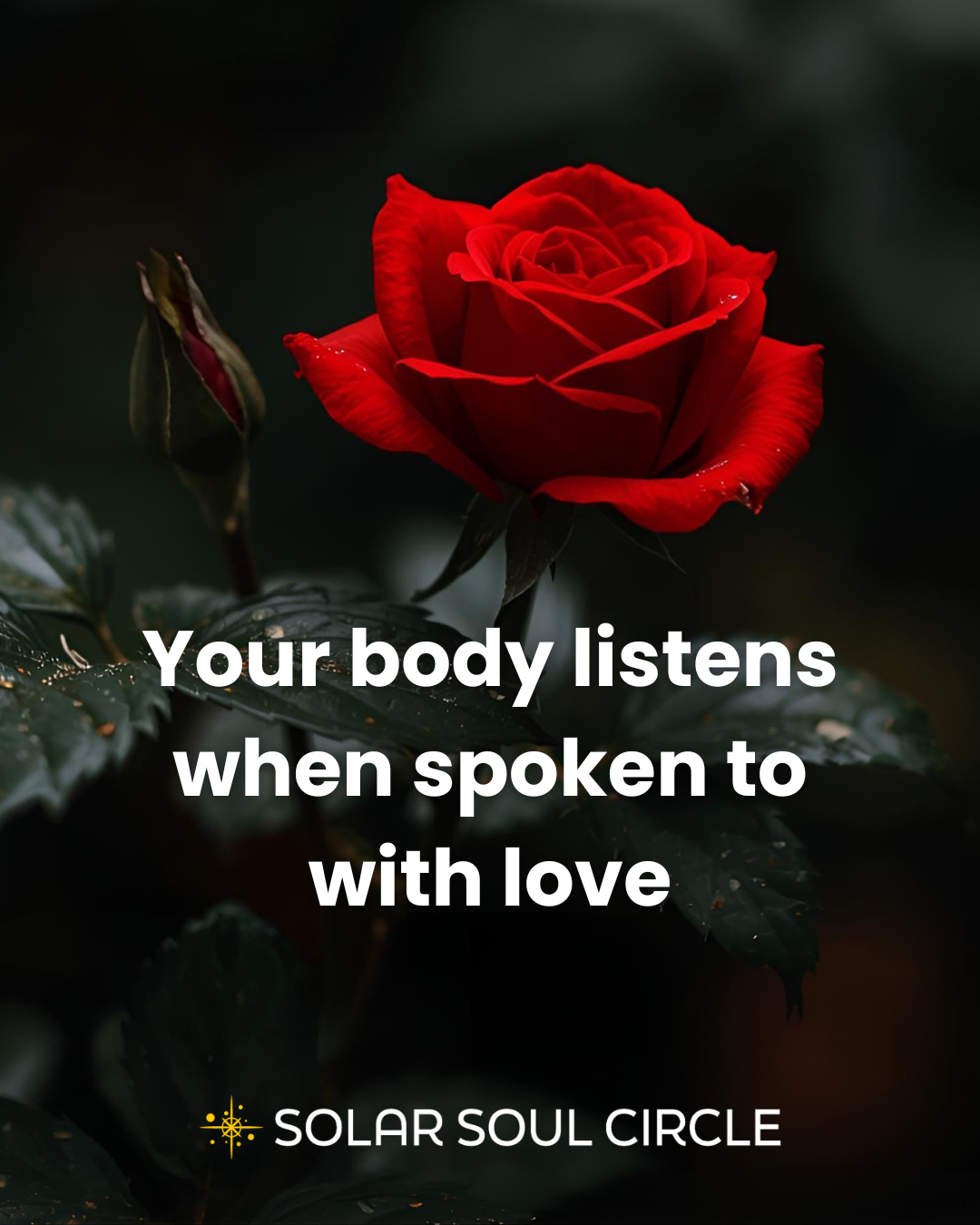 healing_quote_17_body-temple_solar-soul-circle.png