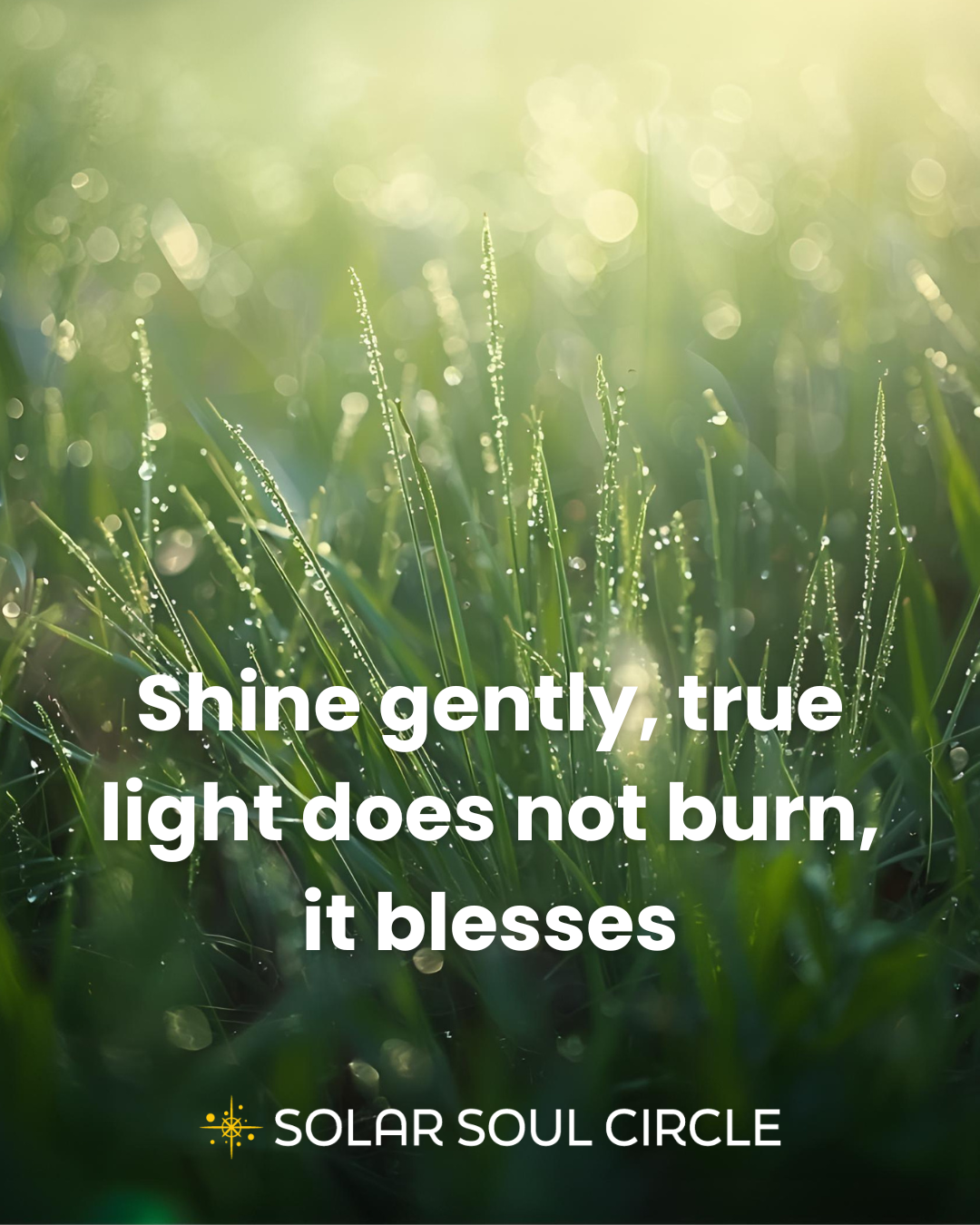 light_quote_shine_gently—true_light_does_44.png