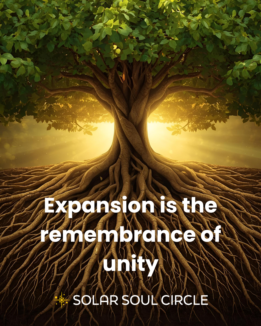 consciousness_quote_48_mind-expansion_solar-soul-circle.png