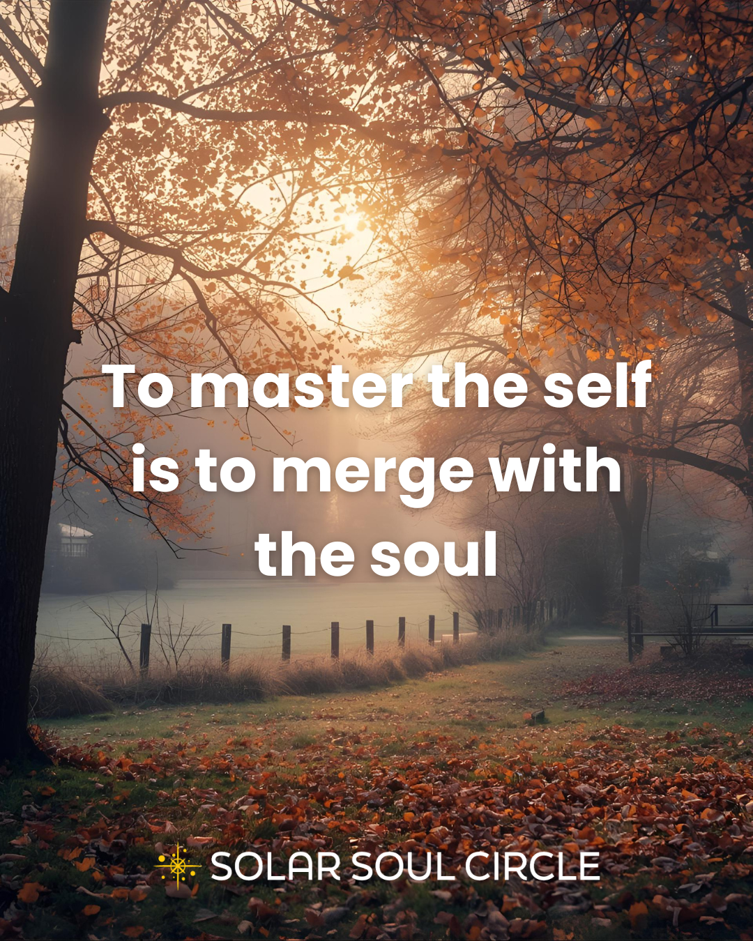 transformation_quote_27_soul-mastery_solar-soul-circle.png