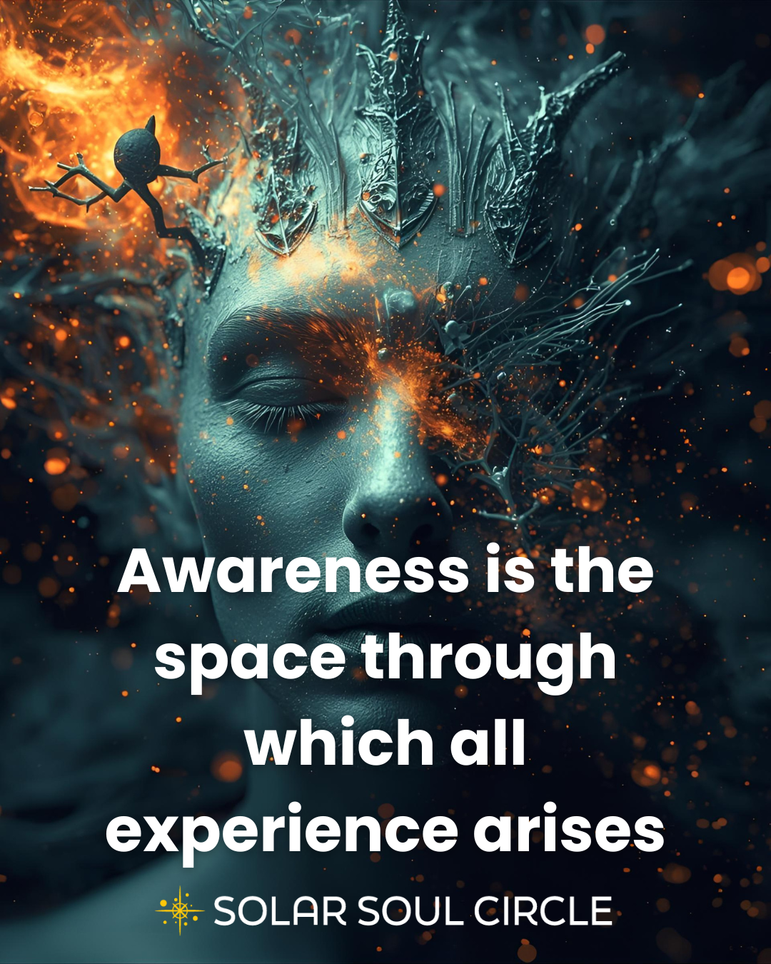consciousness_quote_01_higher-awareness_solar-soul-circle.png