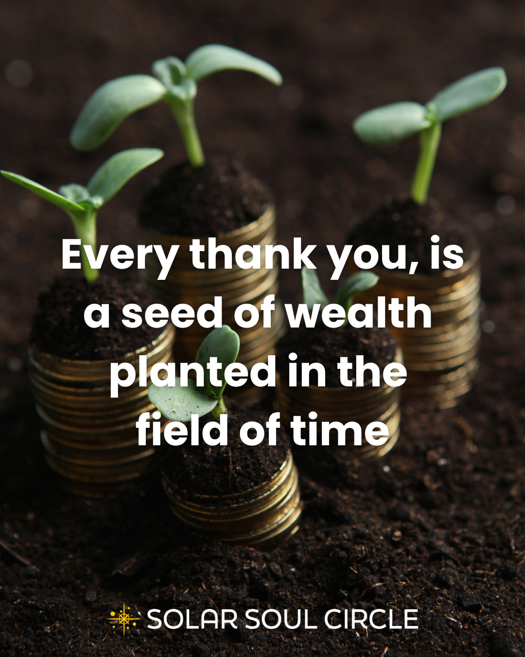 abundance-quote-money-mindset-prosperity-flow-23-solar-soul-circle.png