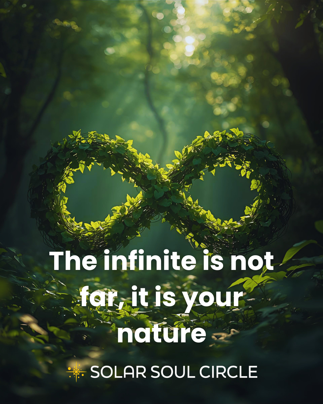consciousness_quote_16_infinite-consciousness_solar-soul-circle.png