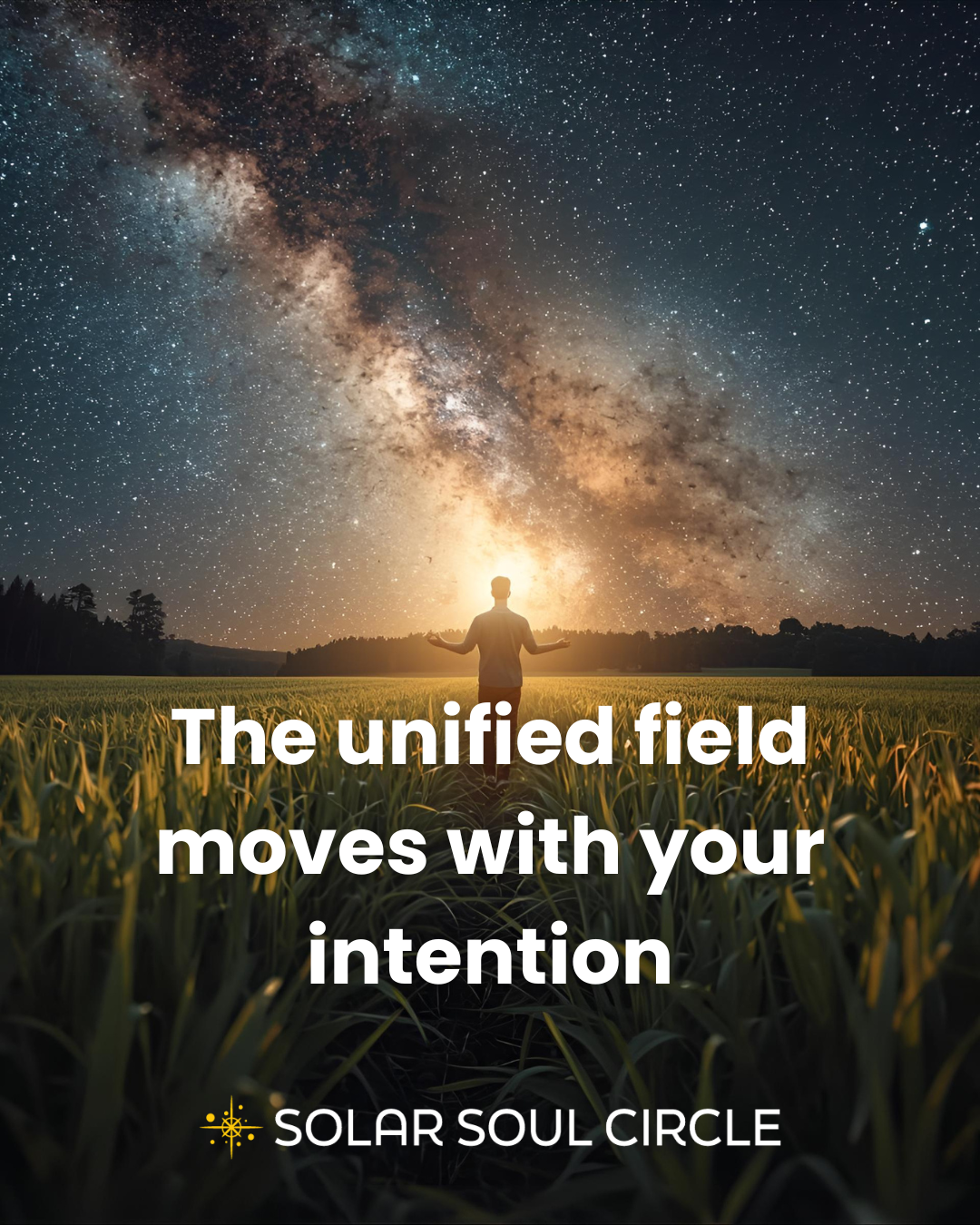 consciousness_quote_42_unified-field_solar-soul-circle.png