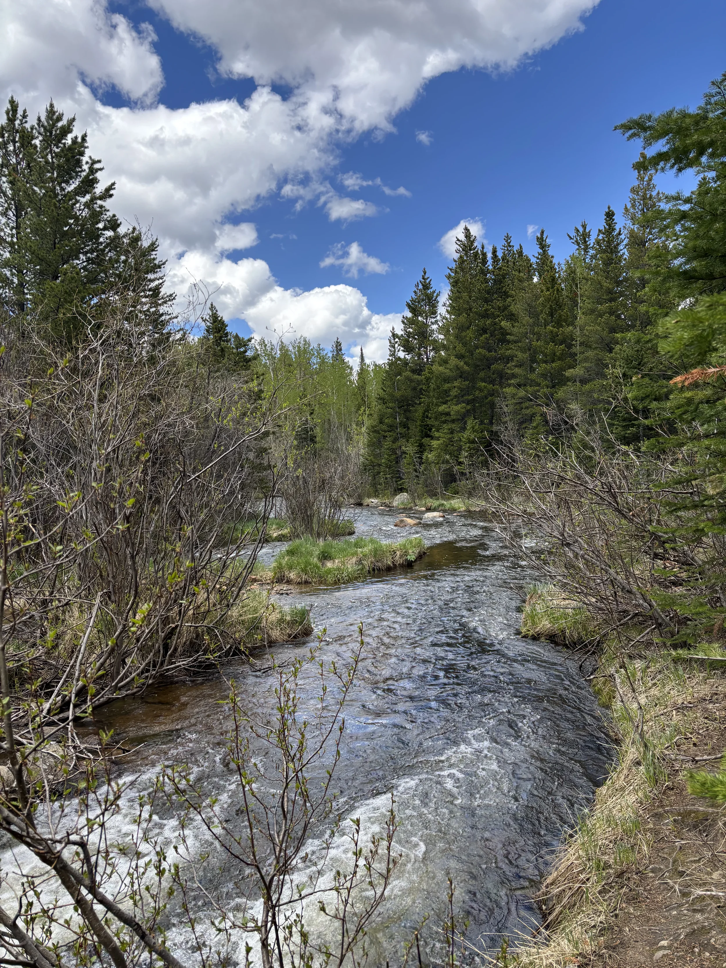 Peaceful creek path