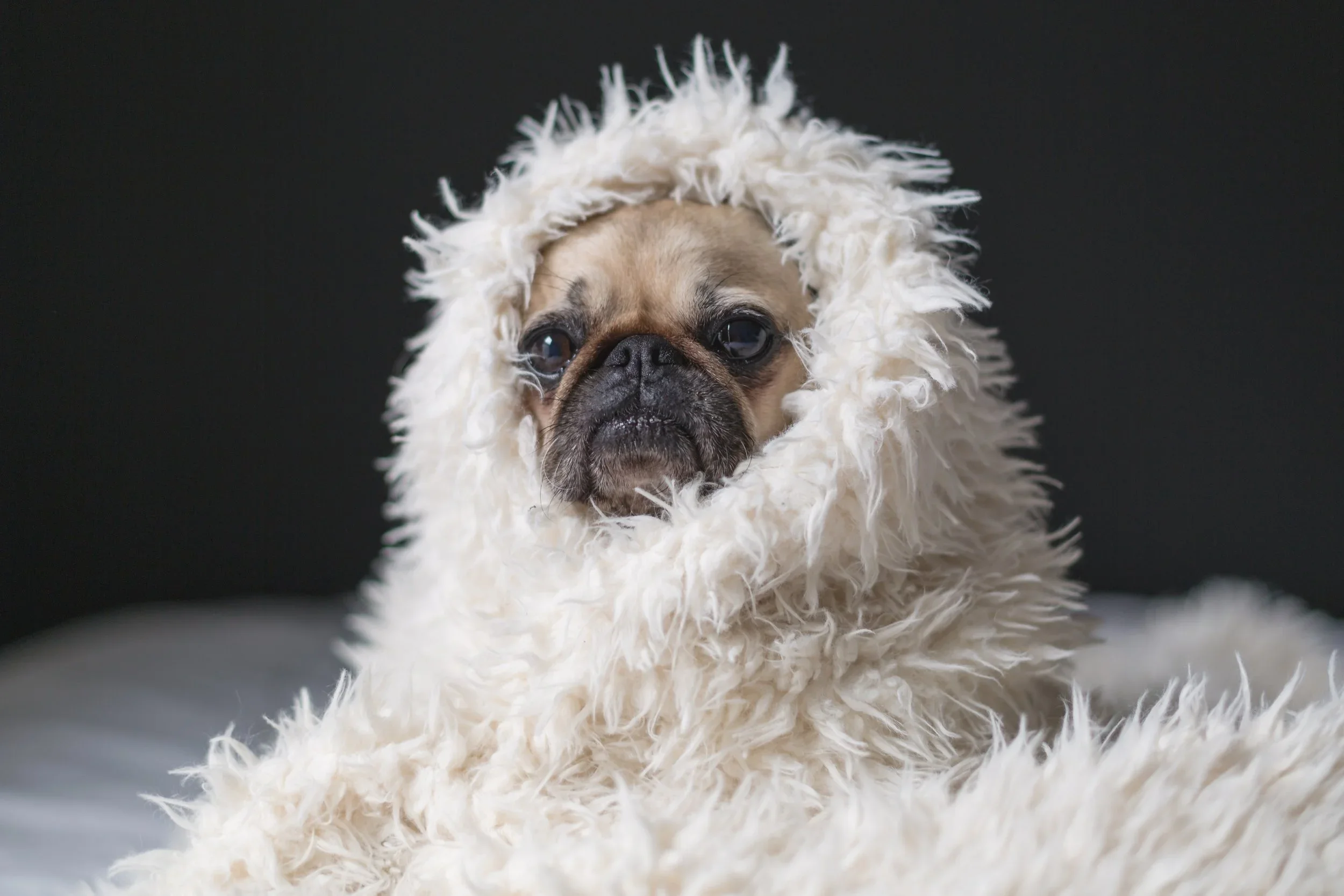 Tips for Surviving the Winter Months