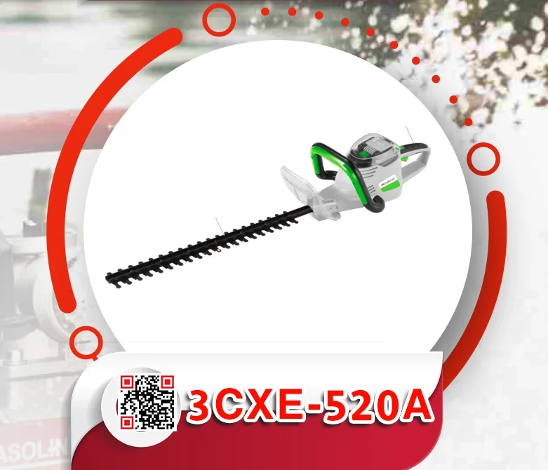 20.webp