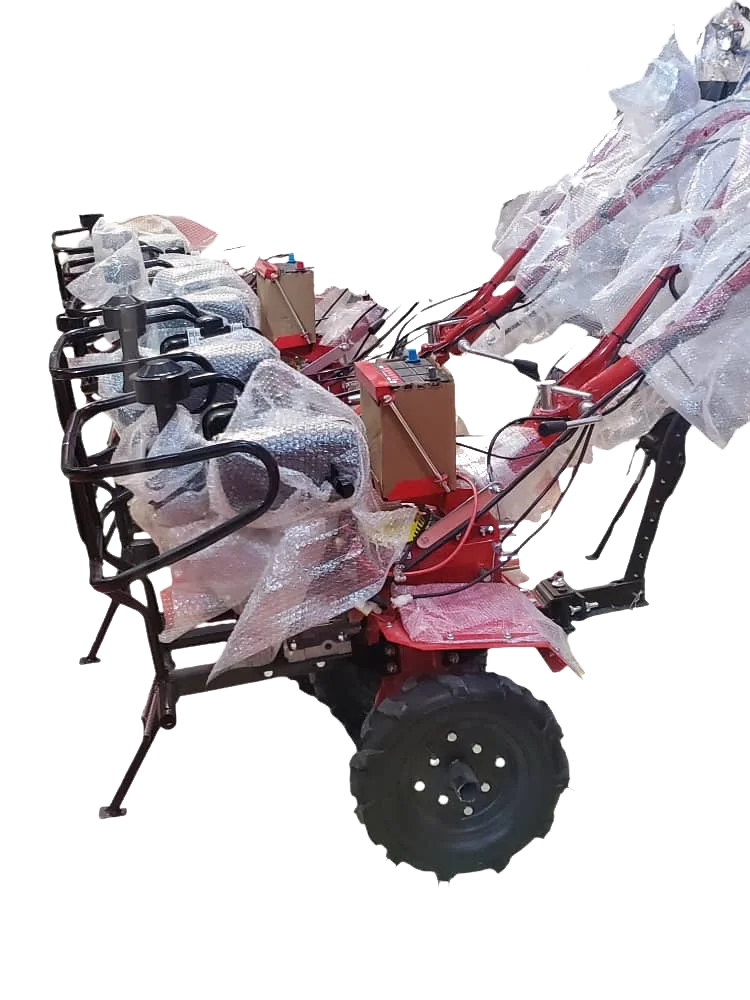 Layer 01 copy.webp