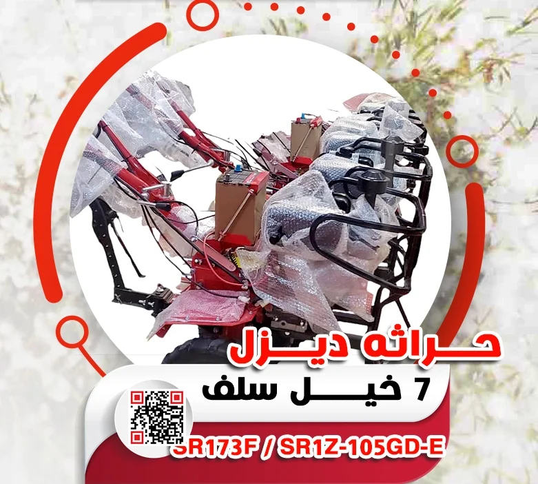 9.webp