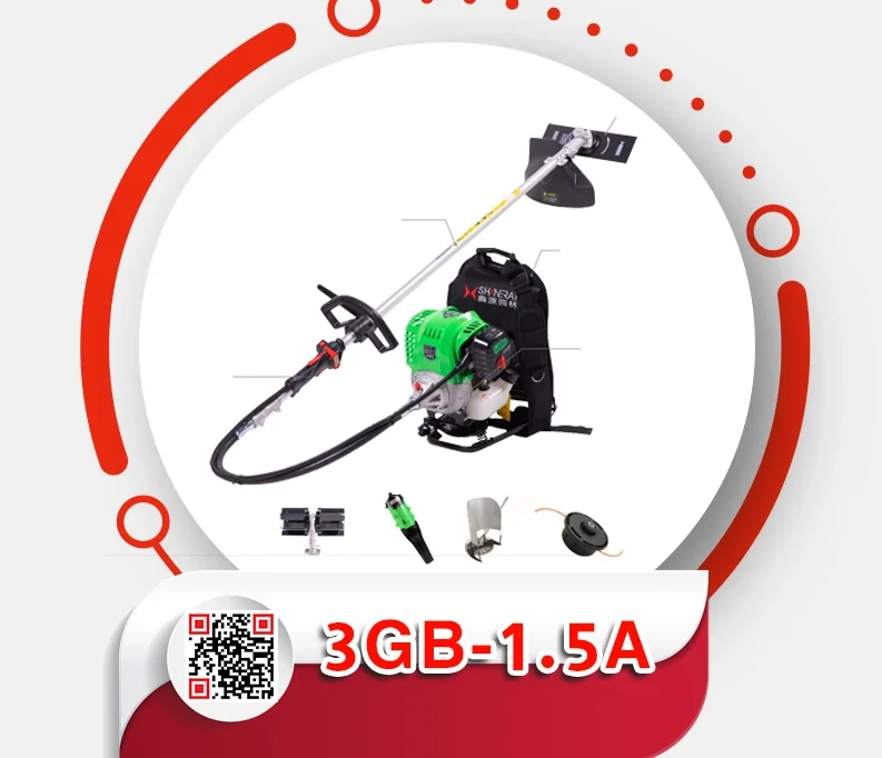 14.webp