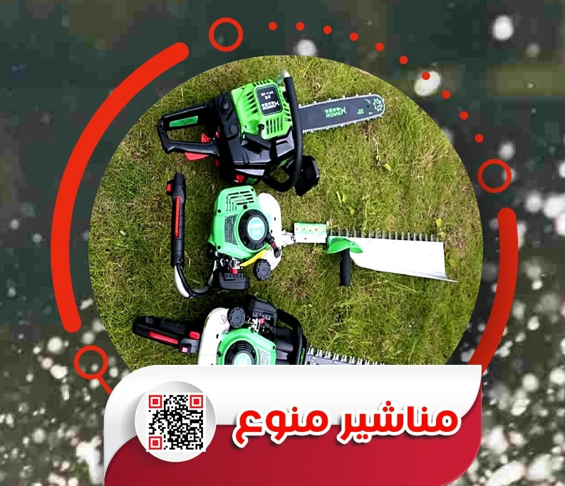 3.webp