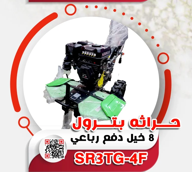12.webp