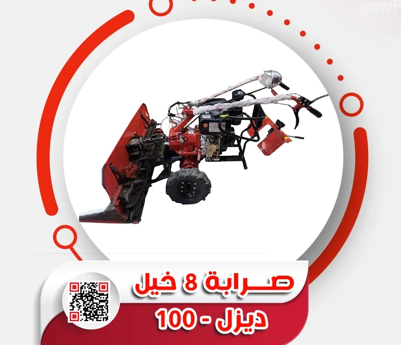 7.webp