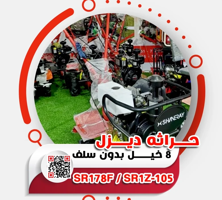 11.webp