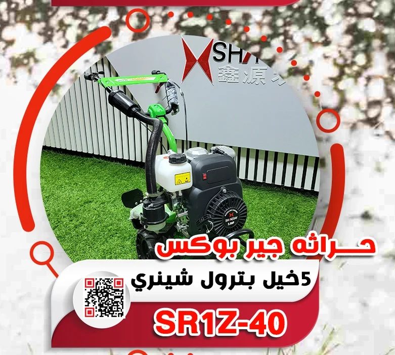 6.webp