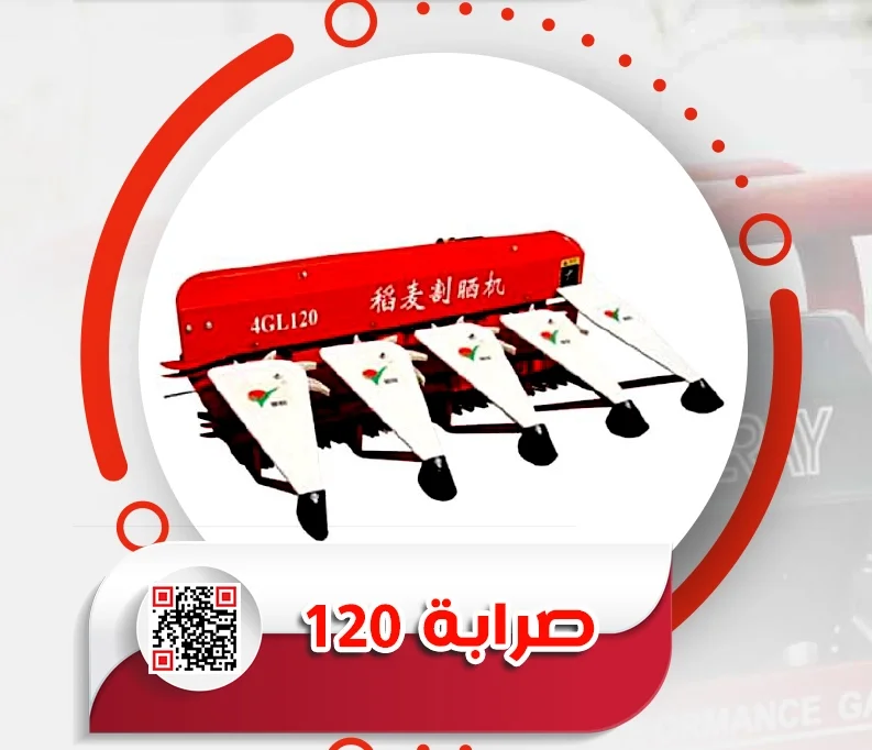 4.webp
