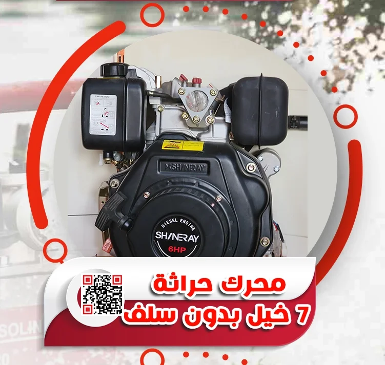 5.webp