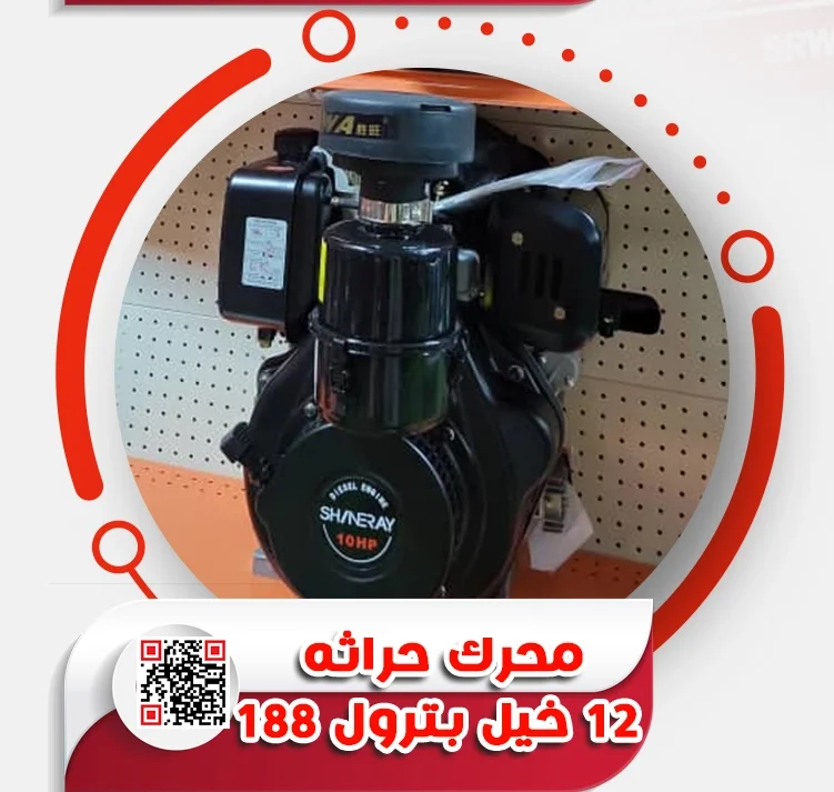 7.webp