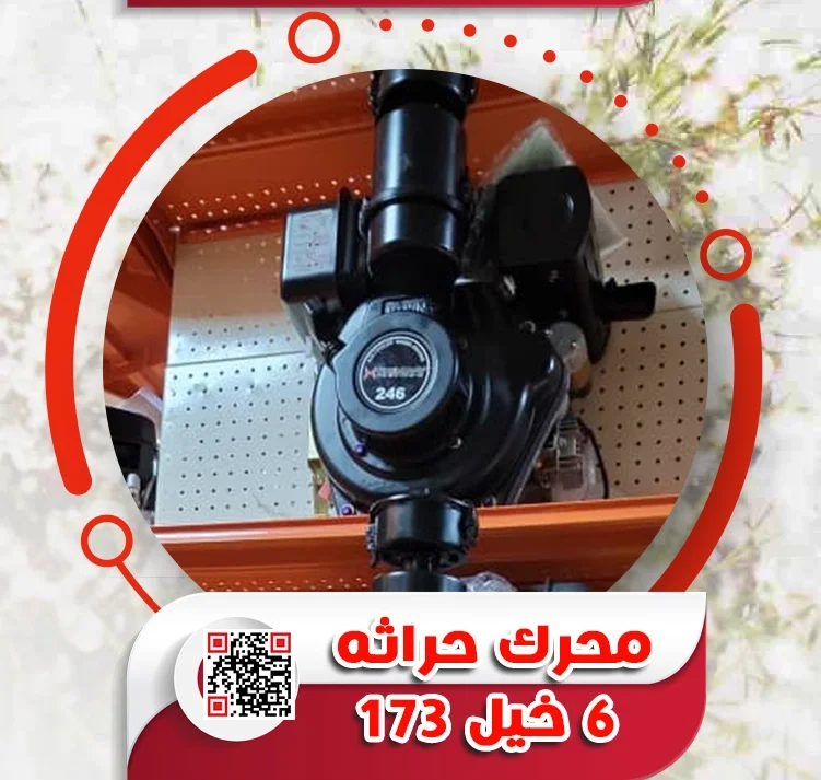 9.webp