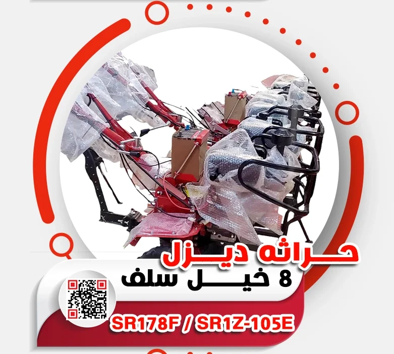 10.webp