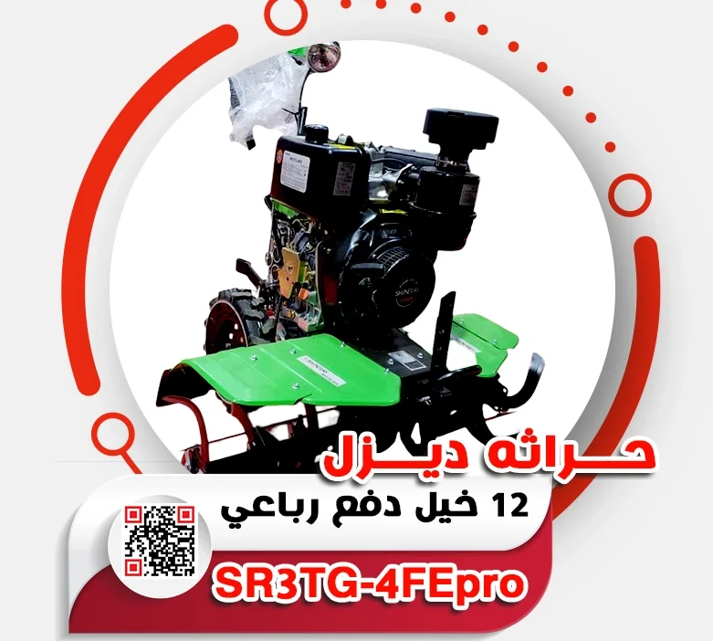 13.webp