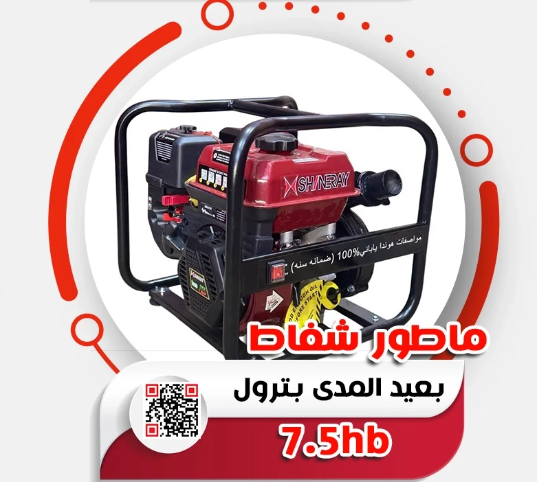 15.webp