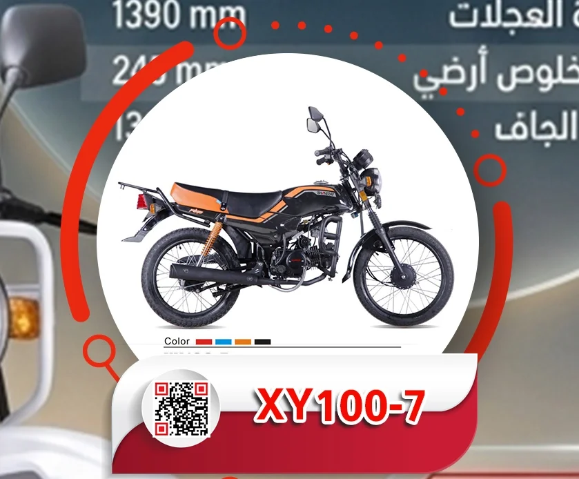 101.webp