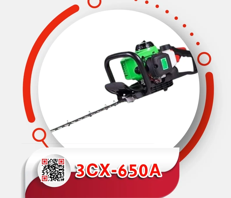 13.webp