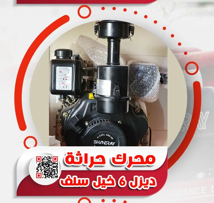 4.webp