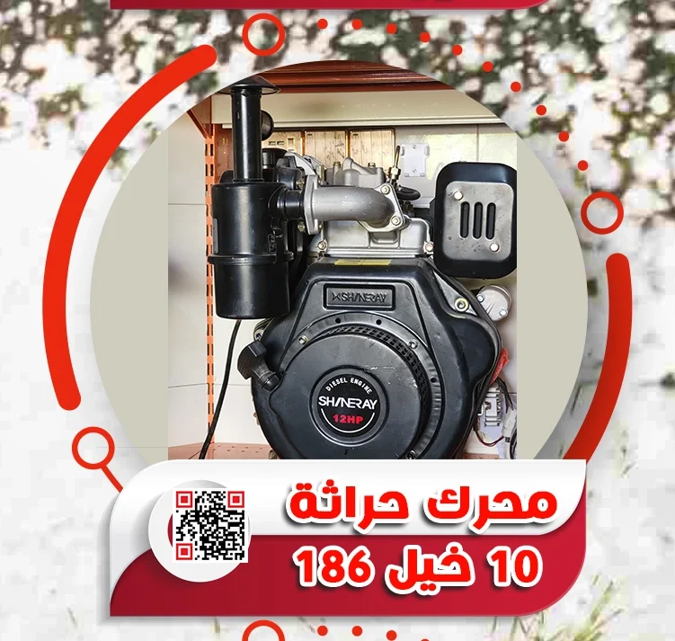 6.webp
