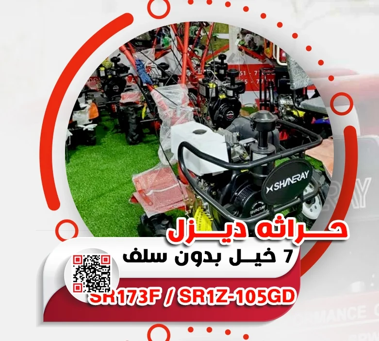4.webp