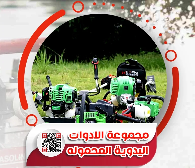 5.webp