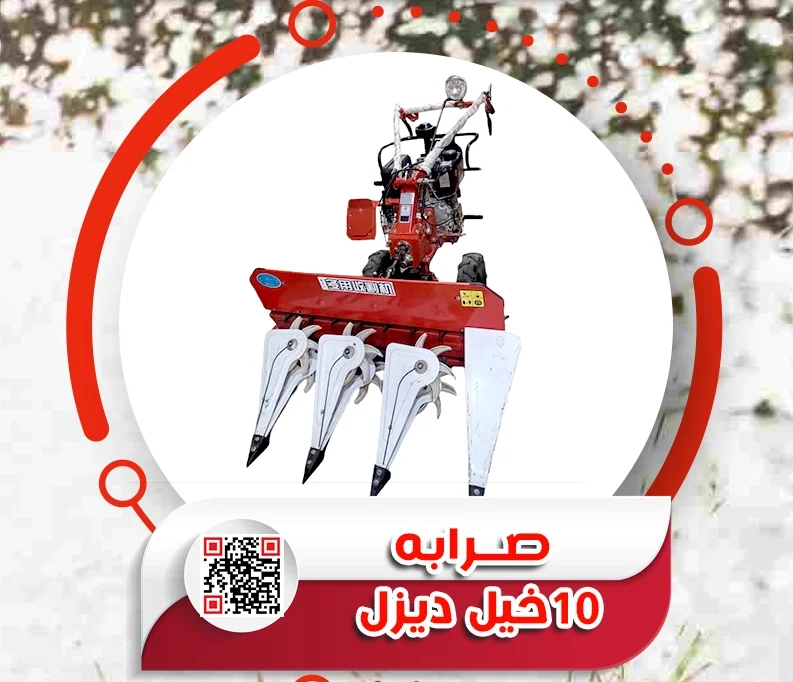 6.webp