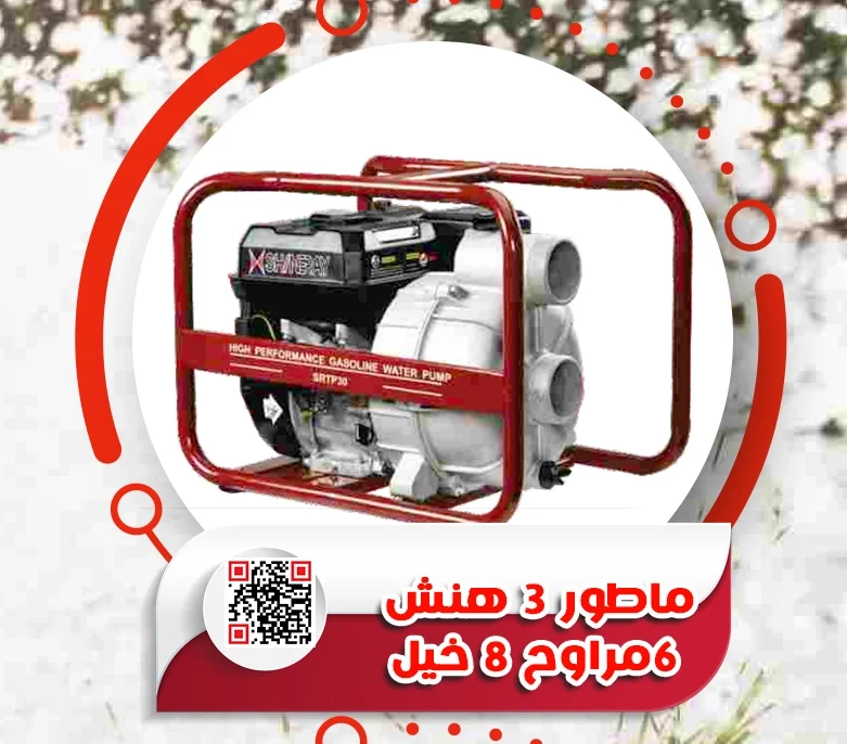 66.webp