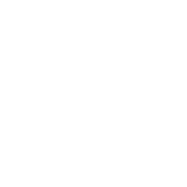 A white globe icon with grid lines on a black background.