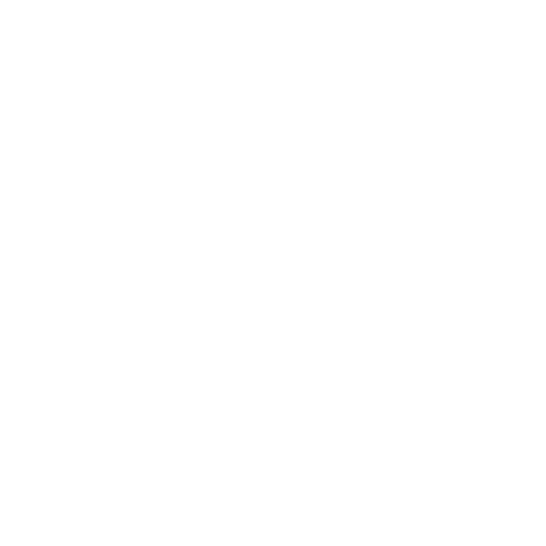 Icon of a globe with a price tag featuring a star