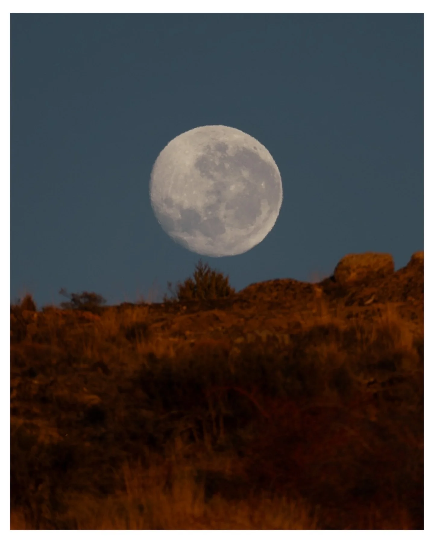 📸🌛
Luna asoma 👀