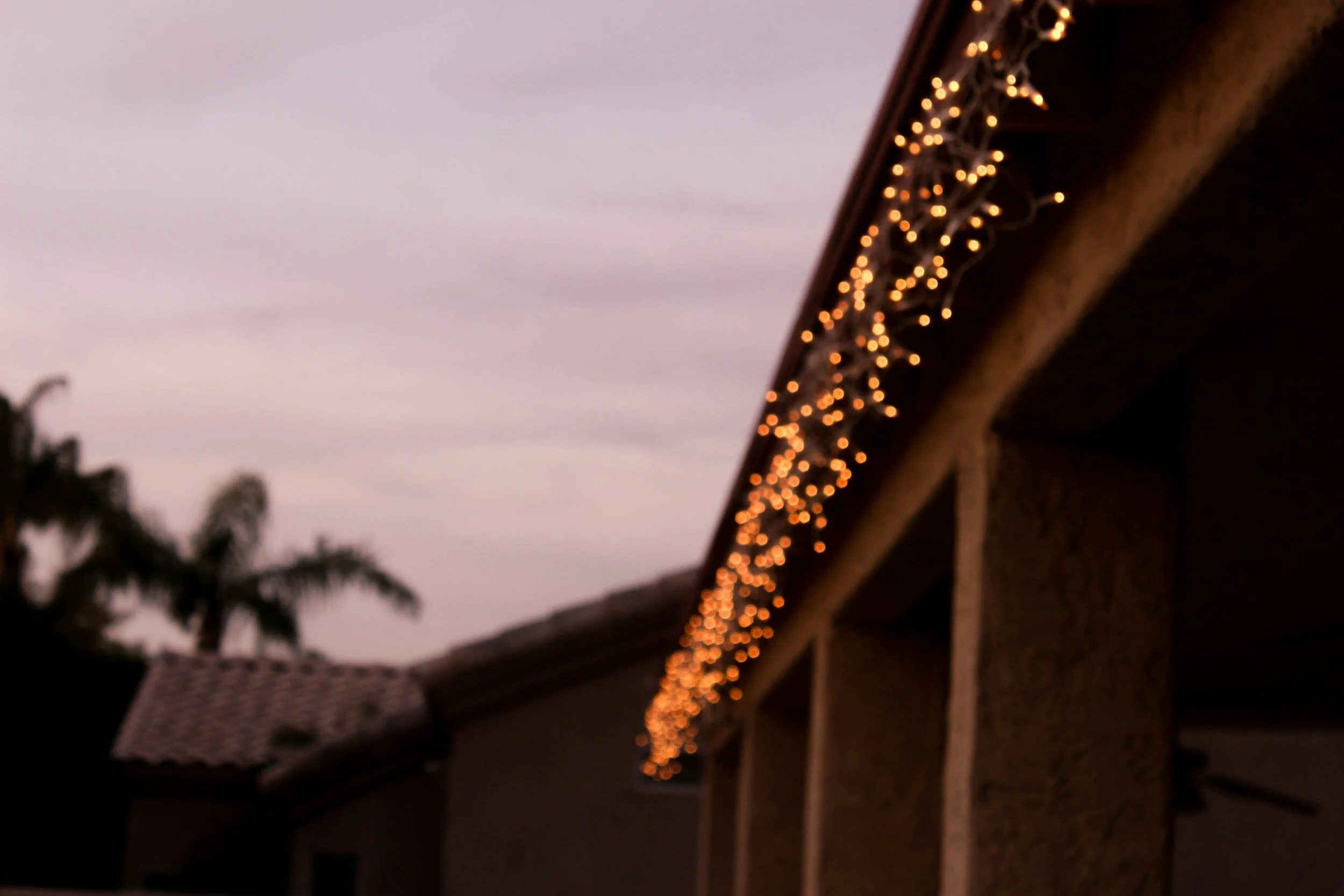 String of small warm-colored Christmas lights hanging along the edge of a roof with twilight sky in background and palm trees in the distance.