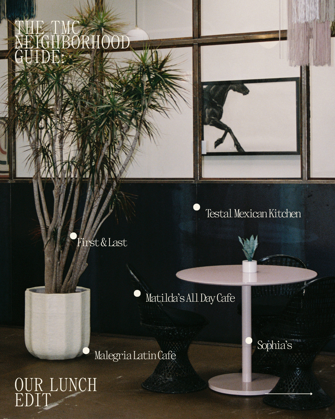 The tmc neighborhood guide: lunch edit