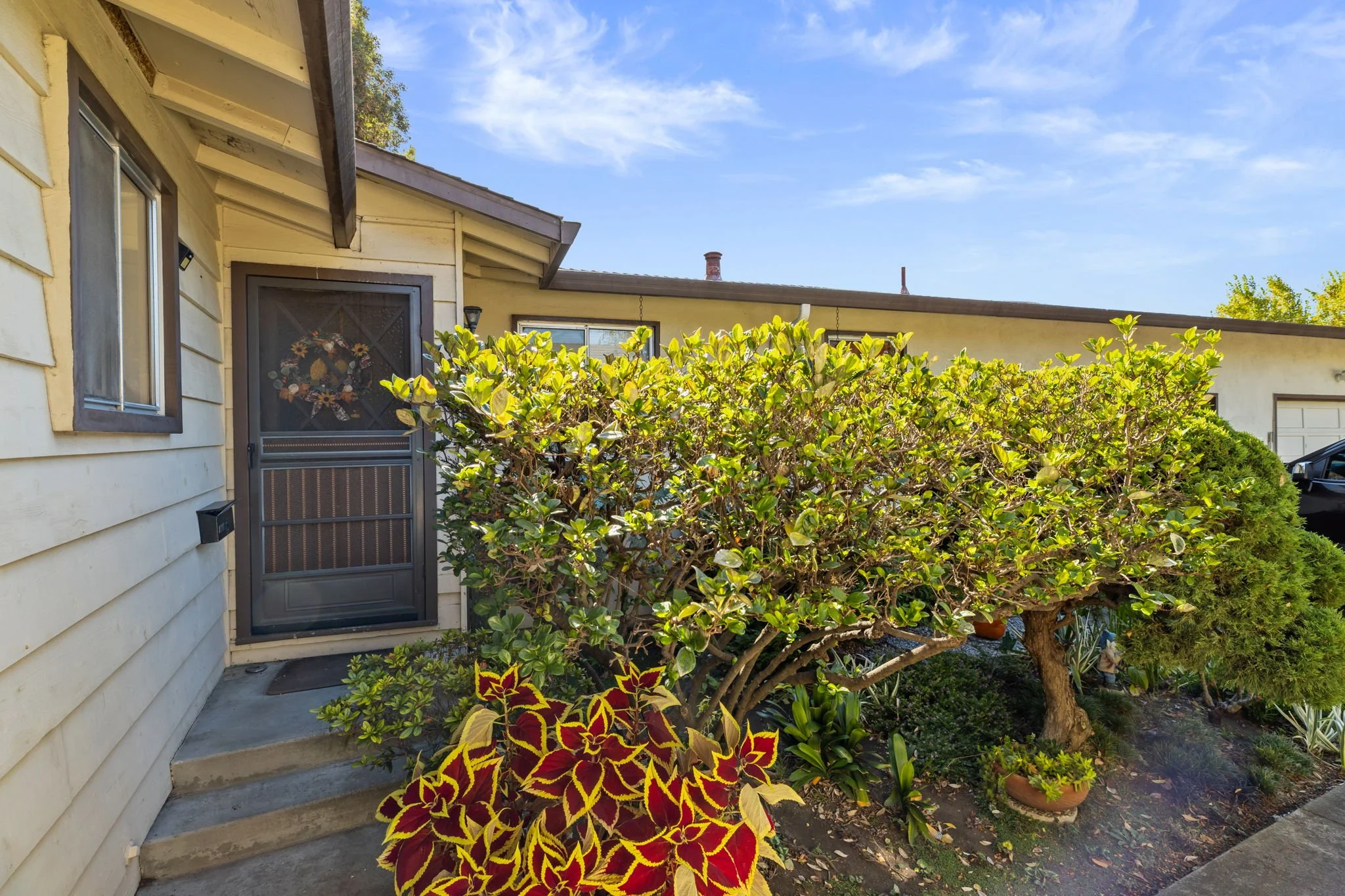 23-web-or-mls-So Gold Photo-23.jpg