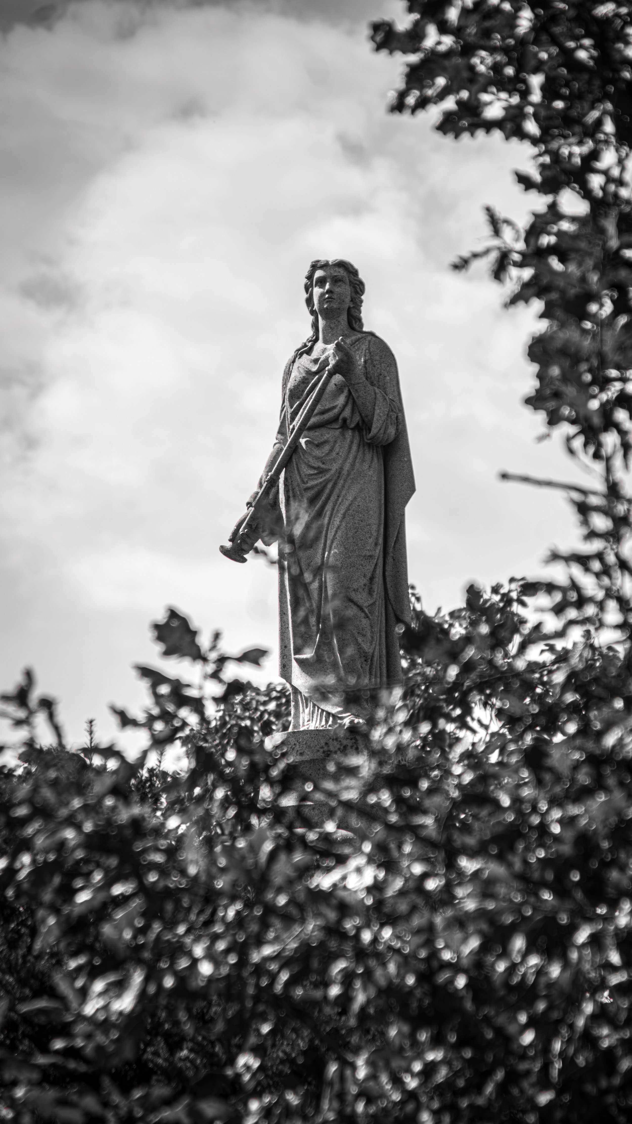 IMG_5672.jpg