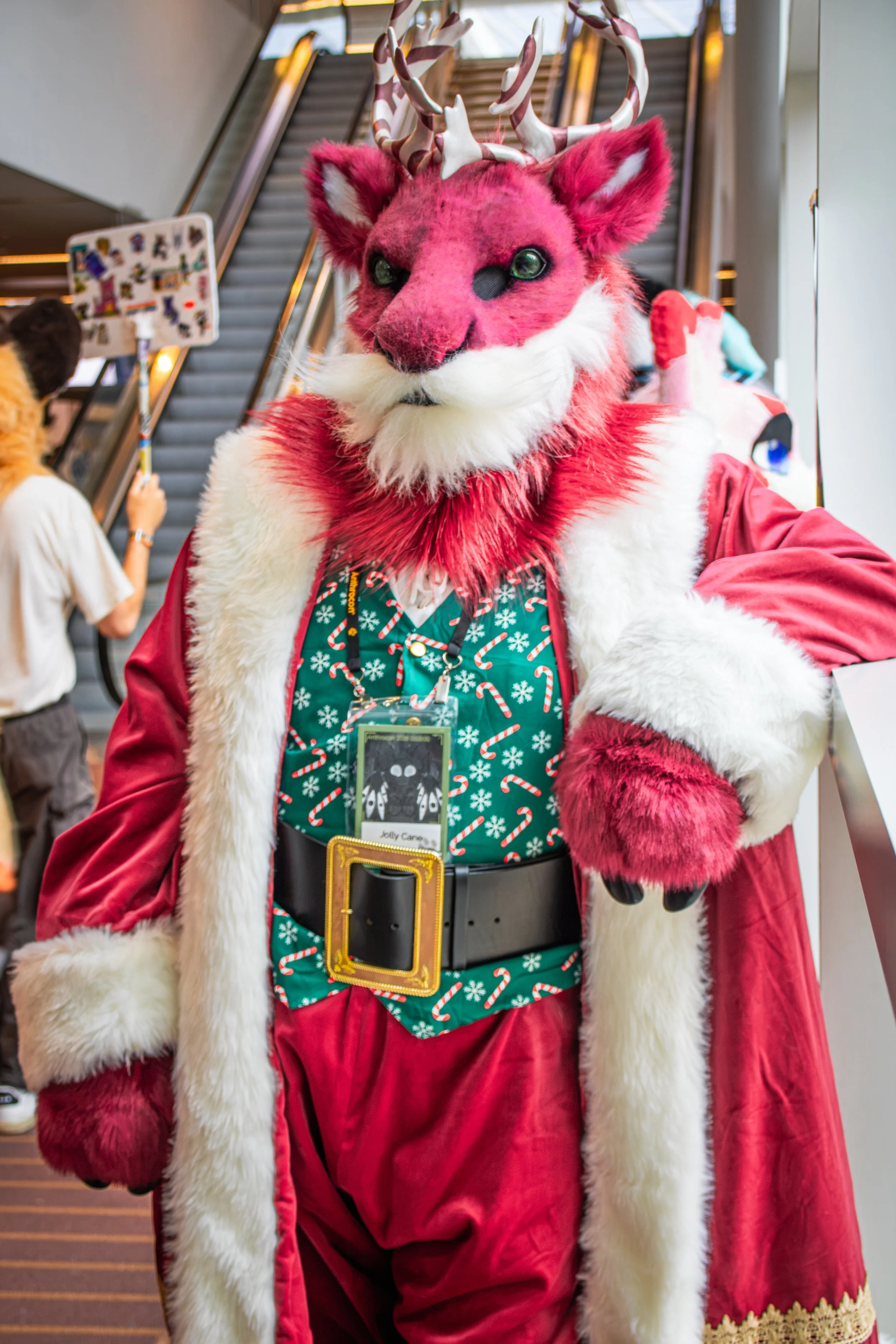 IMG_3574.jpg
