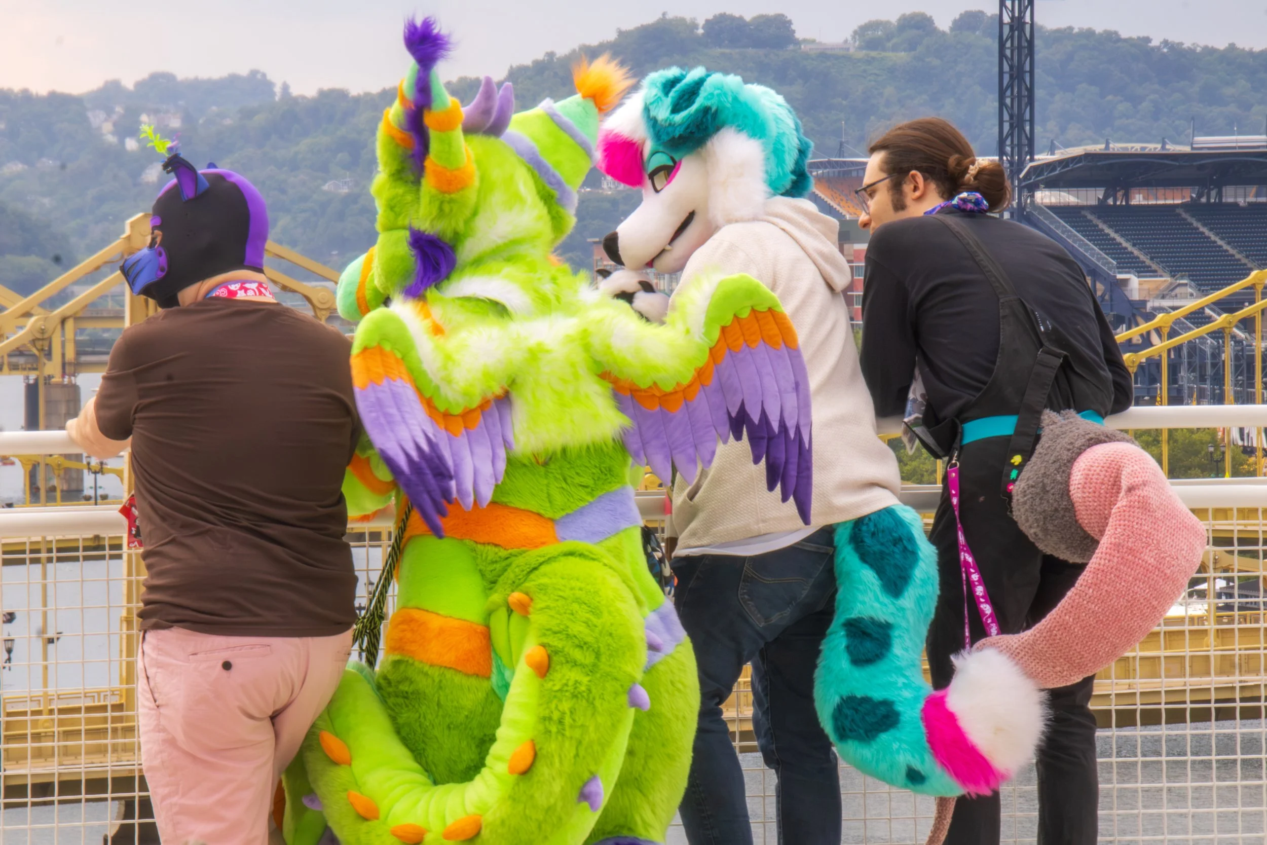 _MG_3527.jpg