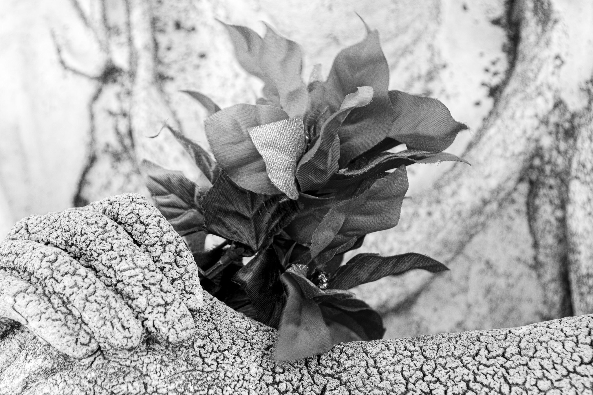 _MG_6759.jpg